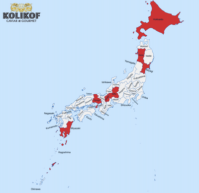 Where Does Wagyu Come From? Each Japanese Prefecture Explained