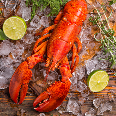 New England Live Lobster (approx. 1kg.)