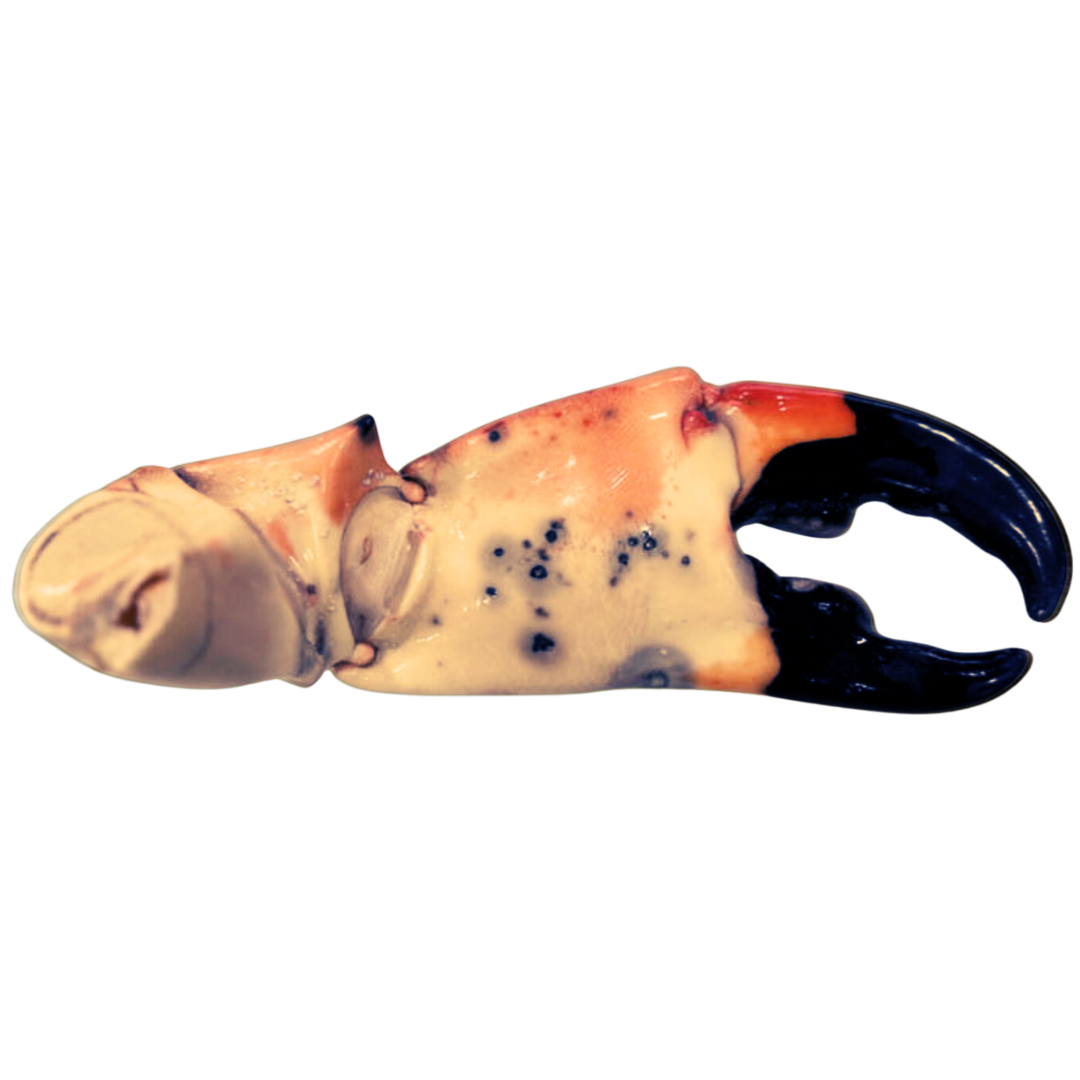 Mega Stone Crab Claws (3 - 18lbs.)