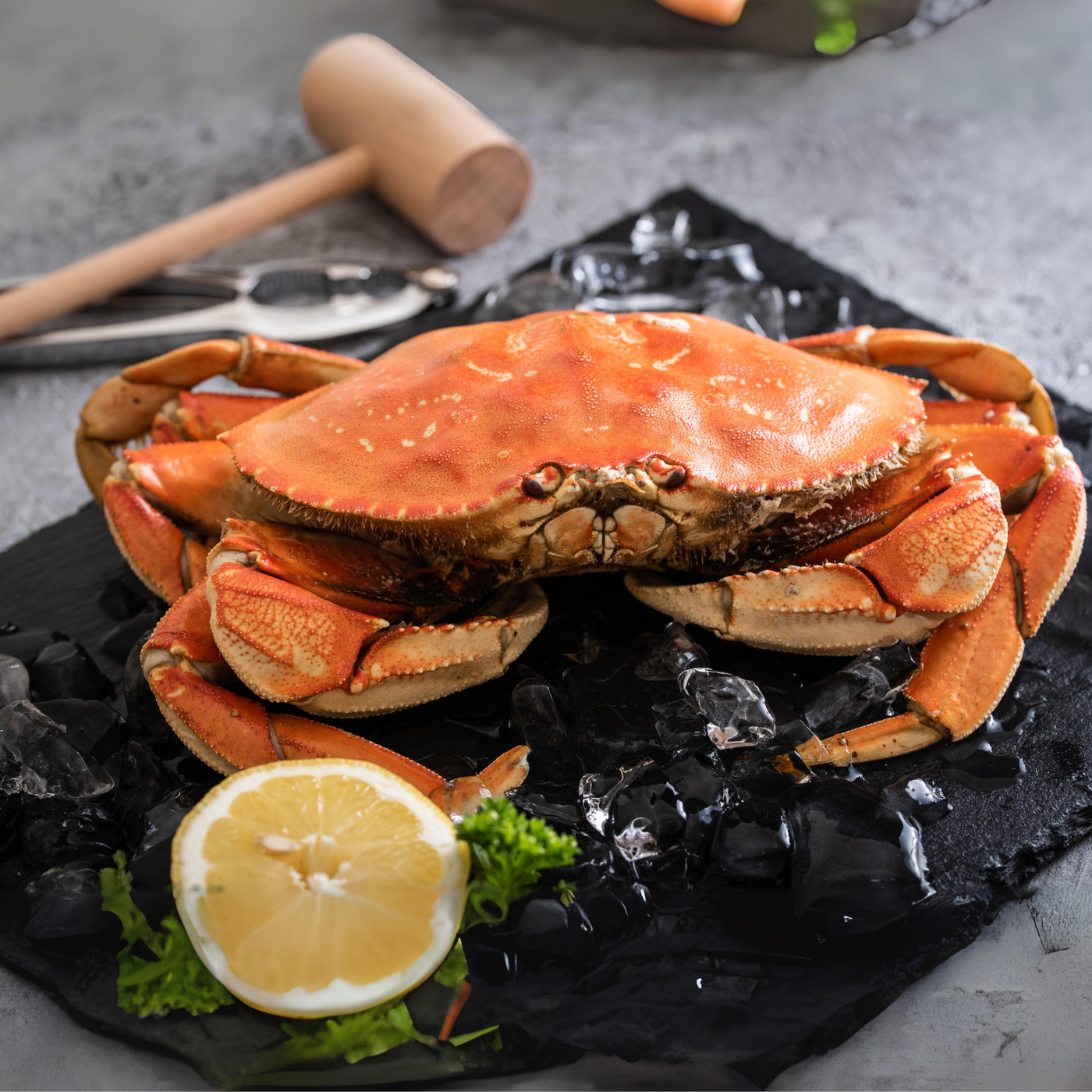 Whole Cooked Dungeness Crab (Box of 4 & 8)