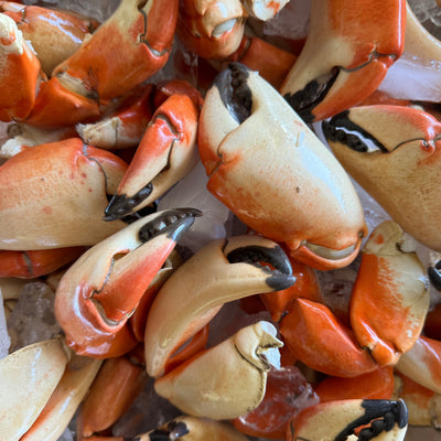 Medium Stone Crab Claws (3 - 18lbs.)