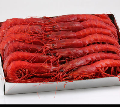 Spanish Red Carabineros Jumbo Prawns (2.2lbs)