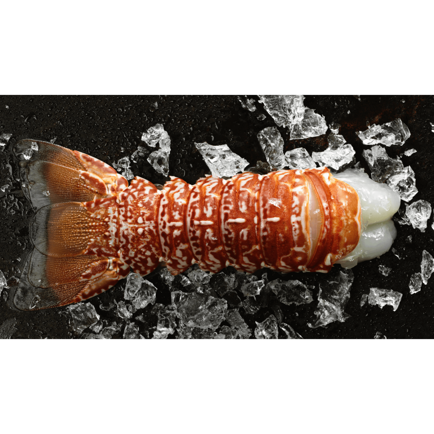 South African Lobster Tail (6-8oz & 8-10oz.)