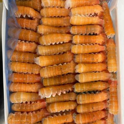 Langoustine Tails (1 lb.)