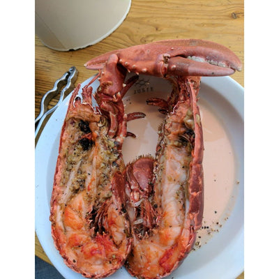 European Blue Lobster Frozen (1 - 2.2lbs)