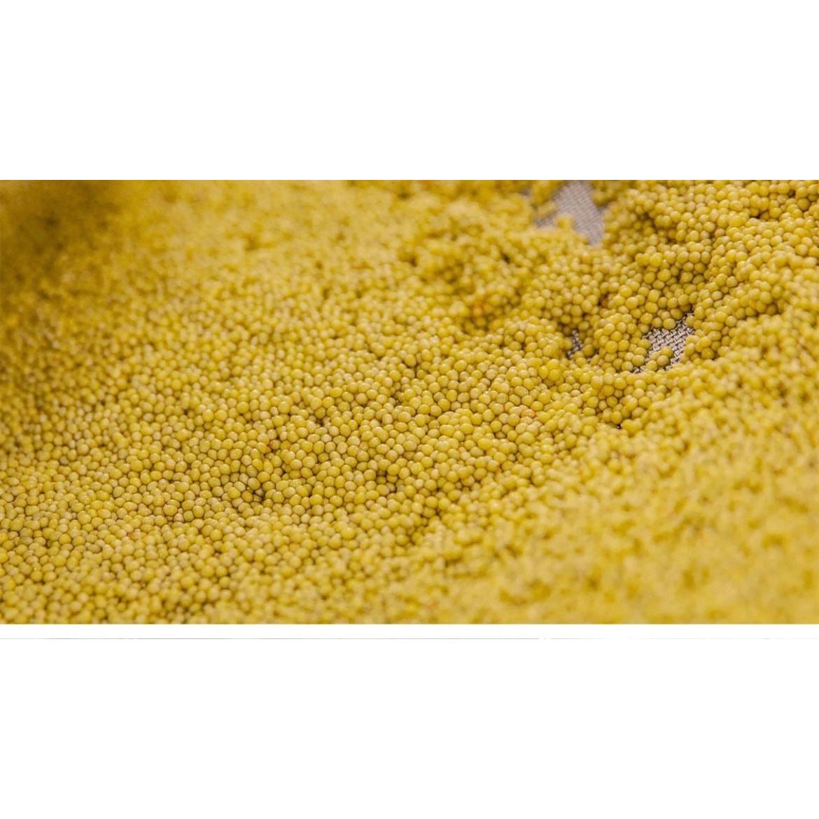 Golden Albino Caviar (1 - 2.2lbs.)